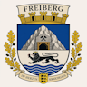 Freiberg Roleplay Icon